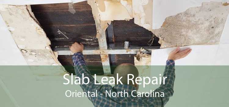 Slab Leak Repair Oriental - North Carolina