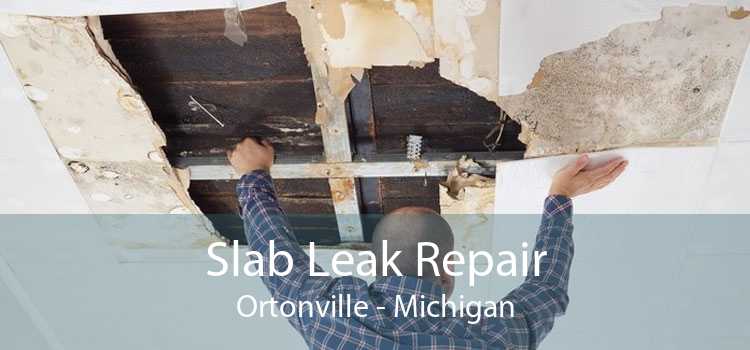 Slab Leak Repair Ortonville - Michigan