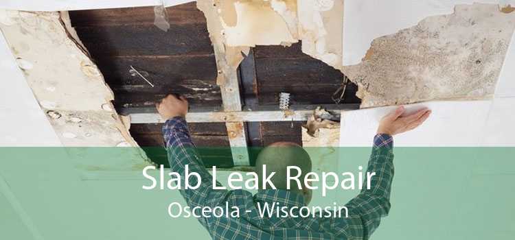 Slab Leak Repair Osceola - Wisconsin