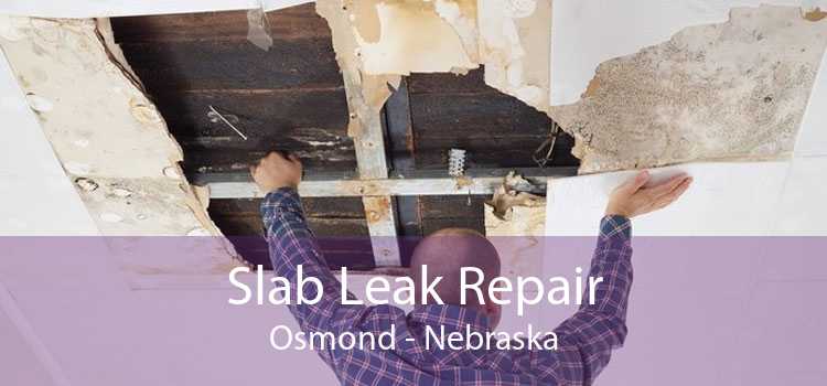 Slab Leak Repair Osmond - Nebraska