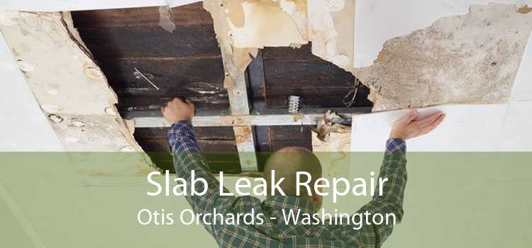 Slab Leak Repair Otis Orchards - Washington