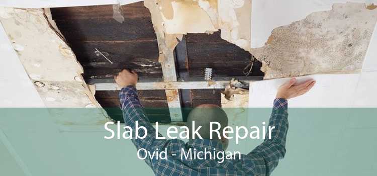 Slab Leak Repair Ovid - Michigan