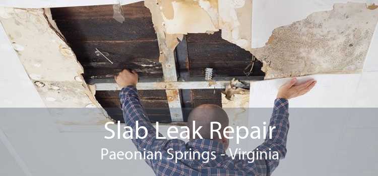 Slab Leak Repair Paeonian Springs - Virginia
