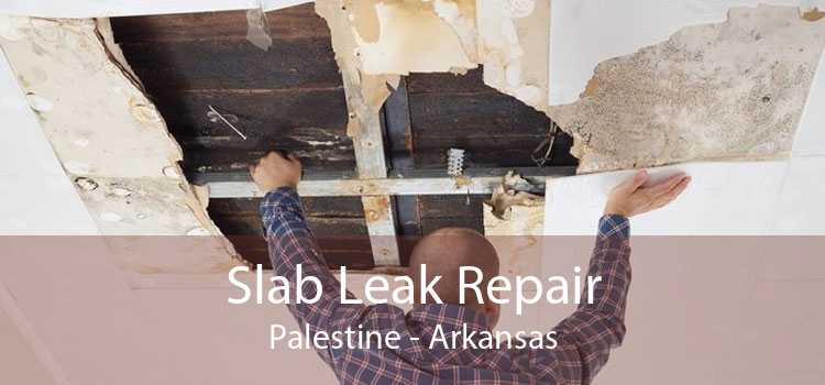 Slab Leak Repair Palestine - Arkansas