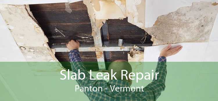 Slab Leak Repair Panton - Vermont