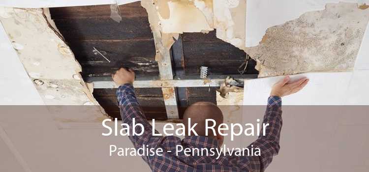 Slab Leak Repair Paradise - Pennsylvania