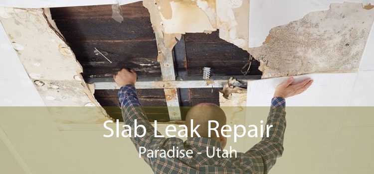 Slab Leak Repair Paradise - Utah