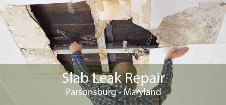 Slab Leak Repair Parsonsburg - Maryland