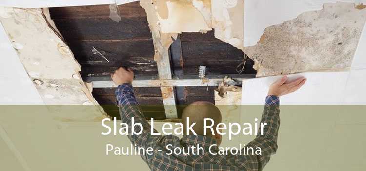 Slab Leak Repair Pauline - South Carolina