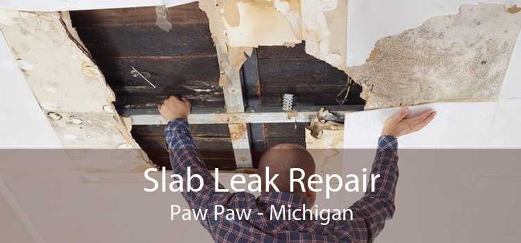 Slab Leak Repair Paw Paw - Michigan