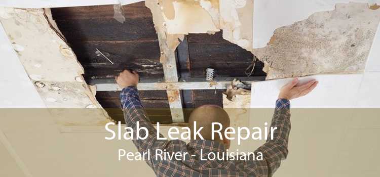 Slab Leak Repair Pearl River - Louisiana