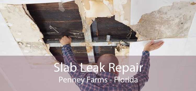 Slab Leak Repair Penney Farms - Florida