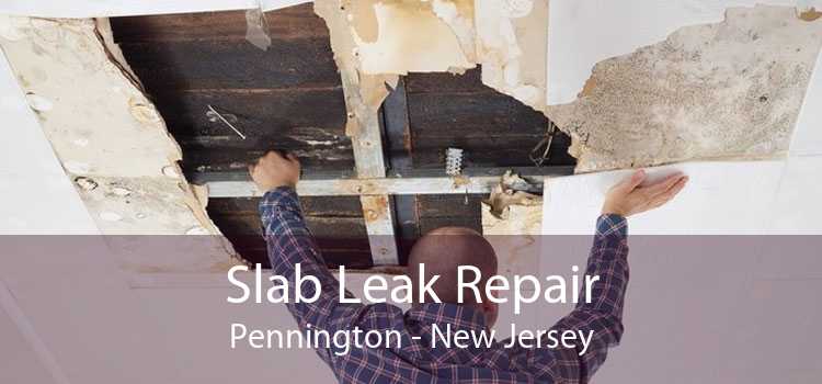 Slab Leak Repair Pennington - New Jersey
