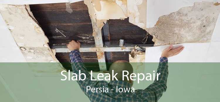Slab Leak Repair Persia - Iowa
