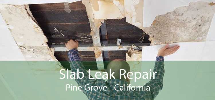 Slab Leak Repair Pine Grove - California