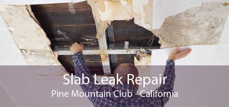 Slab Leak Repair Pine Mountain Club - California