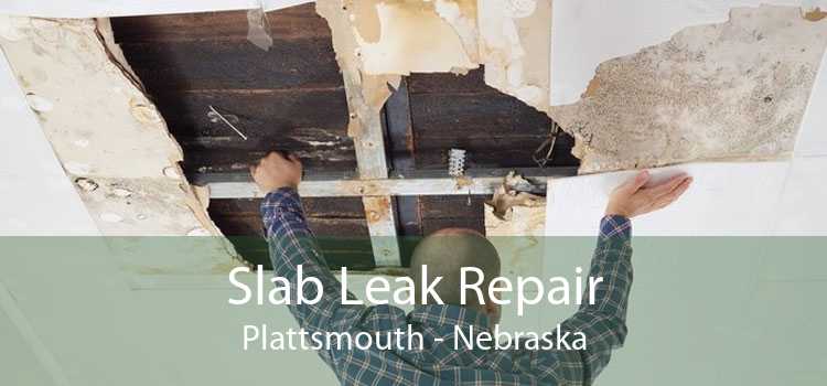 Slab Leak Repair Plattsmouth - Nebraska