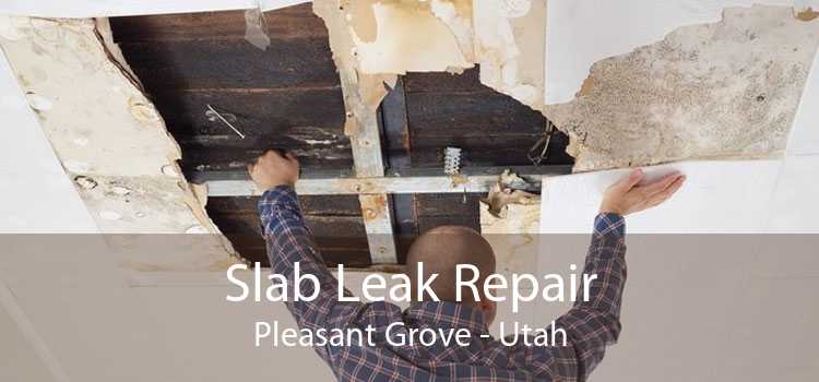 Slab Leak Repair Pleasant Grove - Utah