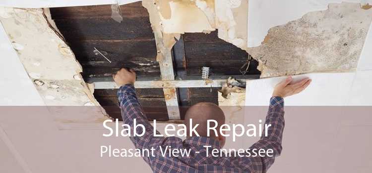 Slab Leak Repair Pleasant View - Tennessee