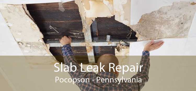 Slab Leak Repair Pocopson - Pennsylvania