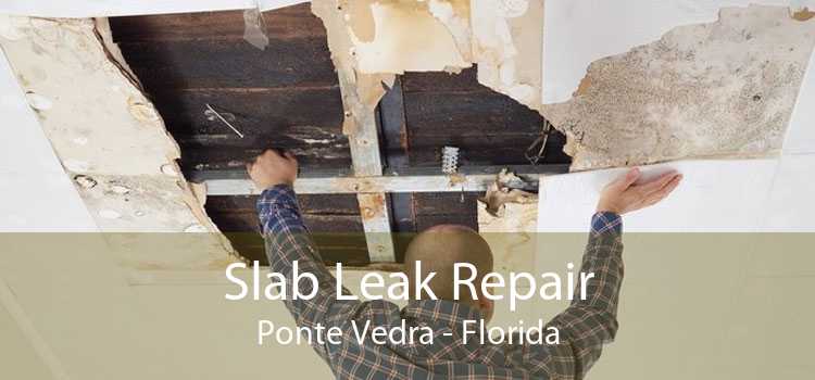 Slab Leak Repair Ponte Vedra - Florida
