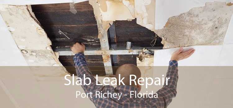 Slab Leak Repair Port Richey - Florida