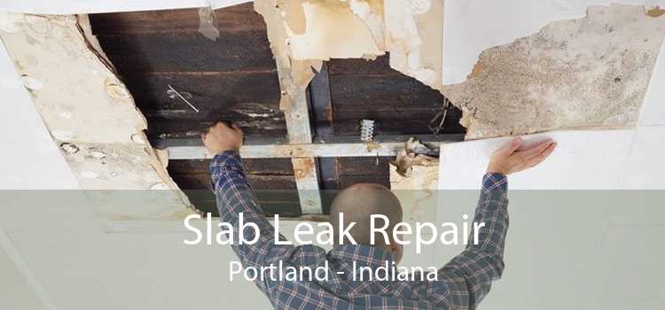 Slab Leak Repair Portland - Indiana