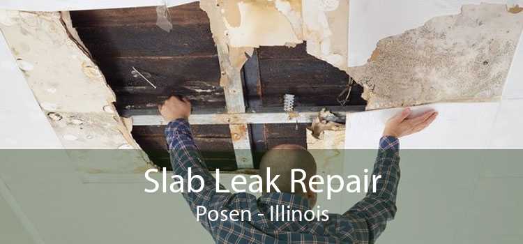 Slab Leak Repair Posen - Illinois
