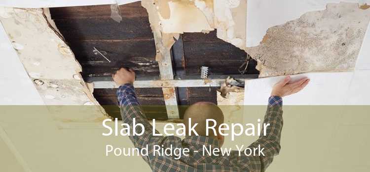 Slab Leak Repair Pound Ridge - New York