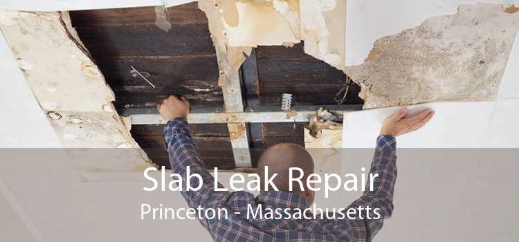 Slab Leak Repair Princeton - Massachusetts