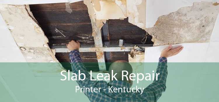Slab Leak Repair Printer - Kentucky