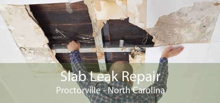 Slab Leak Repair Proctorville - North Carolina
