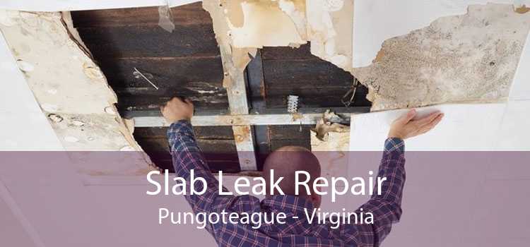 Slab Leak Repair Pungoteague - Virginia