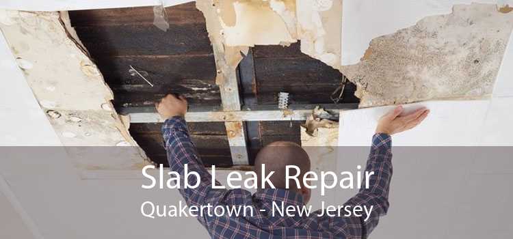 Slab Leak Repair Quakertown - New Jersey