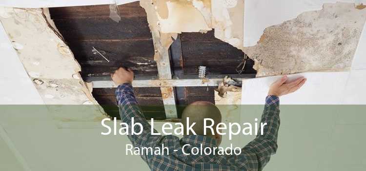 Slab Leak Repair Ramah - Colorado