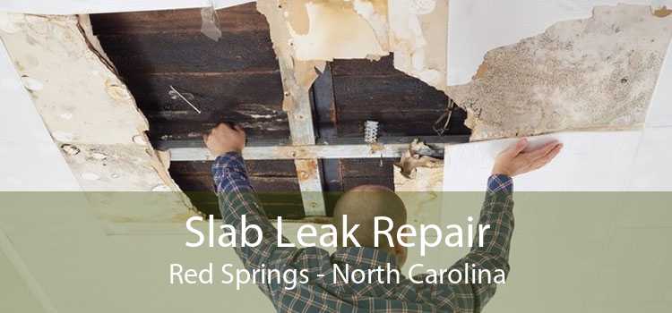 Slab Leak Repair Red Springs - North Carolina