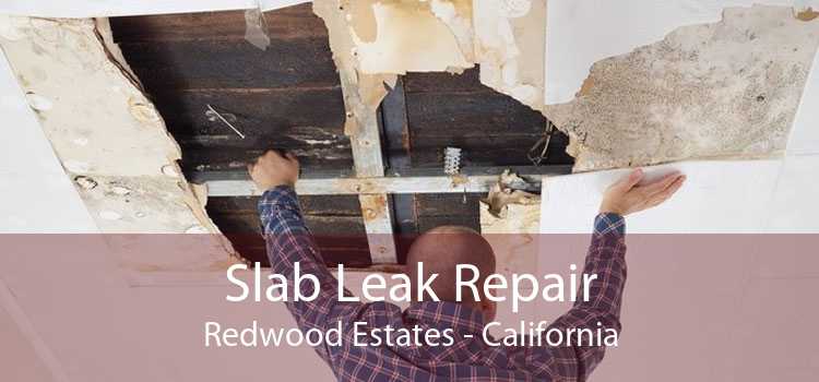 Slab Leak Repair Redwood Estates - California