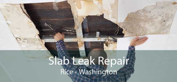Slab Leak Repair Rice - Washington