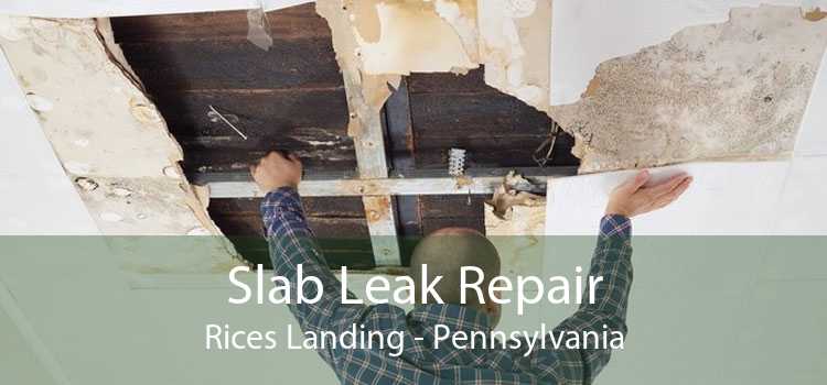 Slab Leak Repair Rices Landing - Pennsylvania