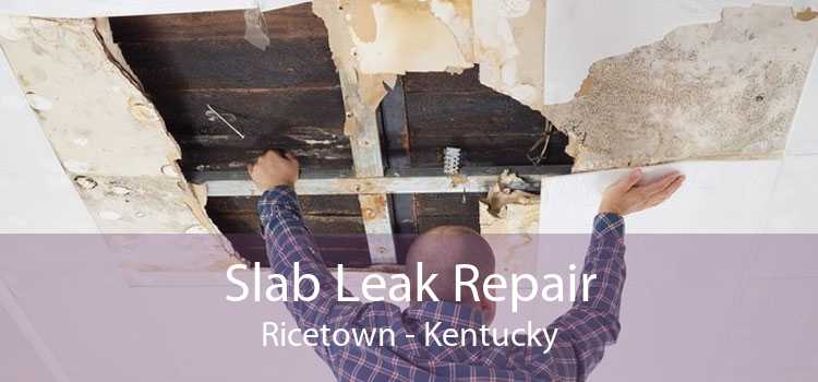 Slab Leak Repair Ricetown - Kentucky