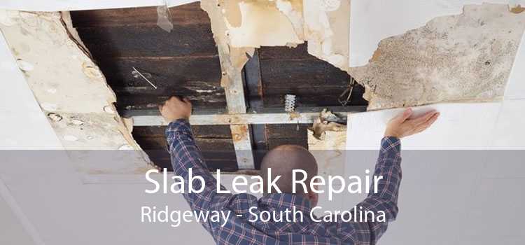 Slab Leak Repair Ridgeway - South Carolina