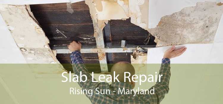 Slab Leak Repair Rising Sun - Maryland