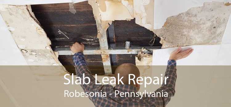 Slab Leak Repair Robesonia - Pennsylvania