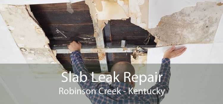 Slab Leak Repair Robinson Creek - Kentucky