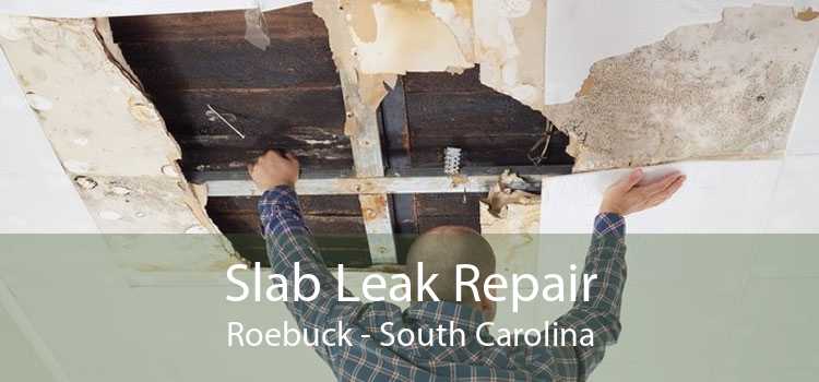Slab Leak Repair Roebuck - South Carolina