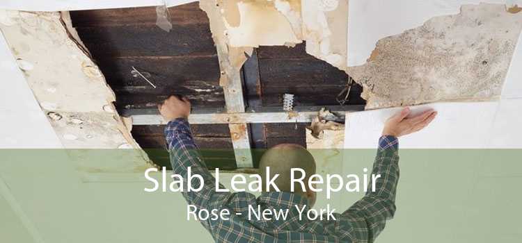 Slab Leak Repair Rose - New York