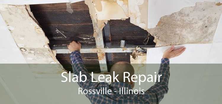 Slab Leak Repair Rossville - Illinois