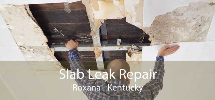 Slab Leak Repair Roxana - Kentucky