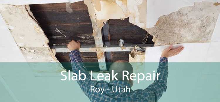 Slab Leak Repair Roy - Utah