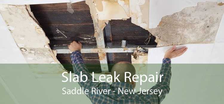 Slab Leak Repair Saddle River - New Jersey